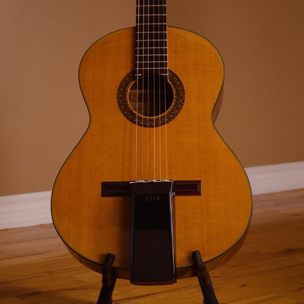 Clip-On Reverb